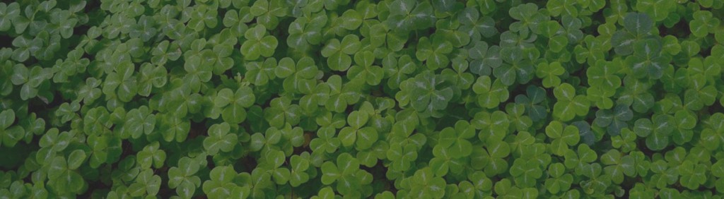 StPatsDay2024